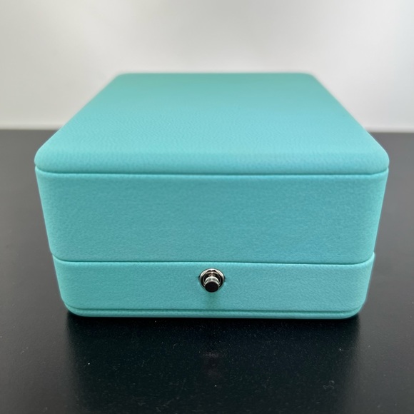 TIFFANY & CO DIAMOND TUROUOISE 18 KARAT
WHITE GOLD TIFFANY T CIRCLE NECKLACE - Picture 12 of 14